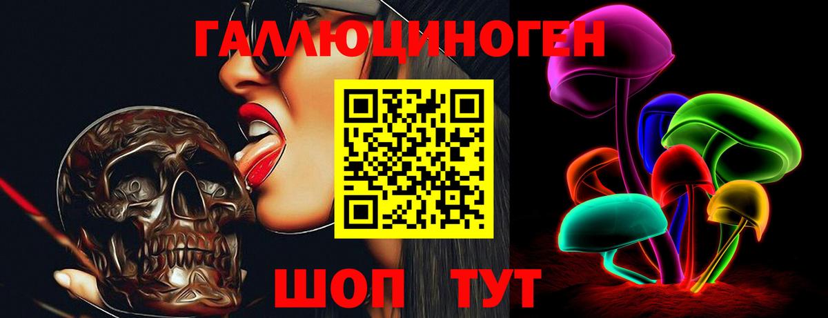 Псилоцибиновые грибы Psilocybe  Вход с VPN  Армавир 